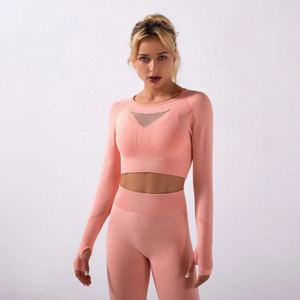 2PCS Yoga Set Sport Outfit Woman Sports Set Workout Long Sleeve And Yoga Pants Fitness Seamless Leggings Gym Clothing Sportswear